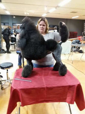 4 maart wachten op de uitslag